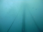 12106999_1092489627435401_5829355740261976348_n.jpg